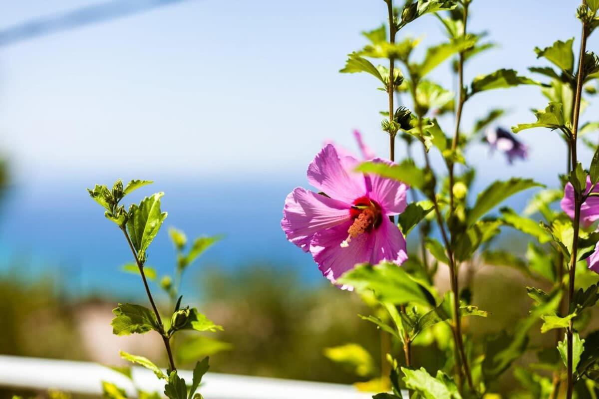 Aigli Fully Equipped Getaway - Seaview Lux Retreat Villa กาลามาตา ภายนอก รูปภาพ